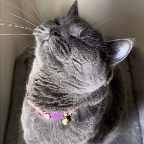 Meet your Posher, Monina - Picture 2 of 2